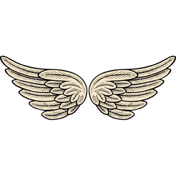 ES2wings002clr Thumbnail