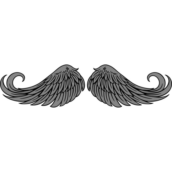 ES2wings020CLR Thumbnail