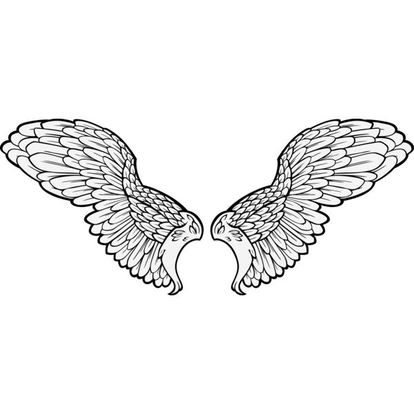 ES3wing11clr Thumbnail