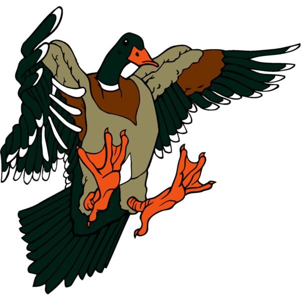 duckmallard Thumbnail