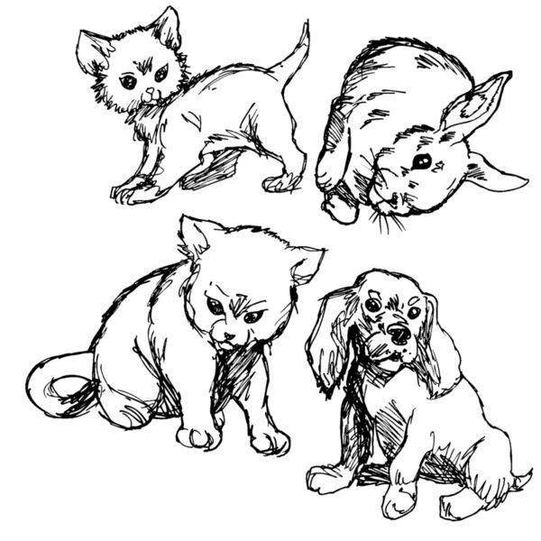 babyanimals Thumbnail