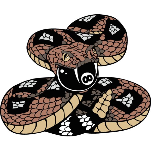 rattlesnakeeightball Thumbnail