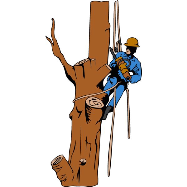 treetrimmer Thumbnail