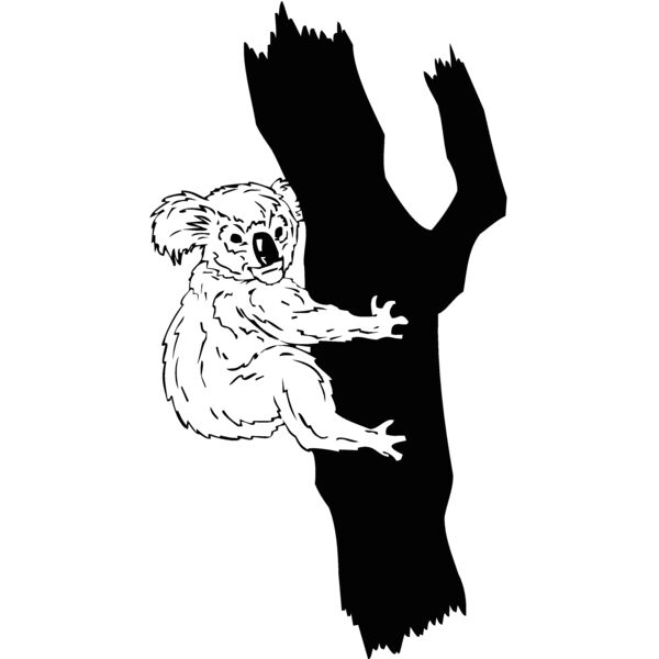 koala1 Thumbnail