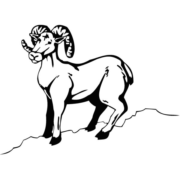 mountain goat 2 Thumbnail