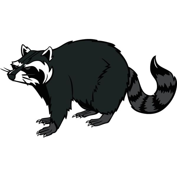 raccoonm08 Thumbnail
