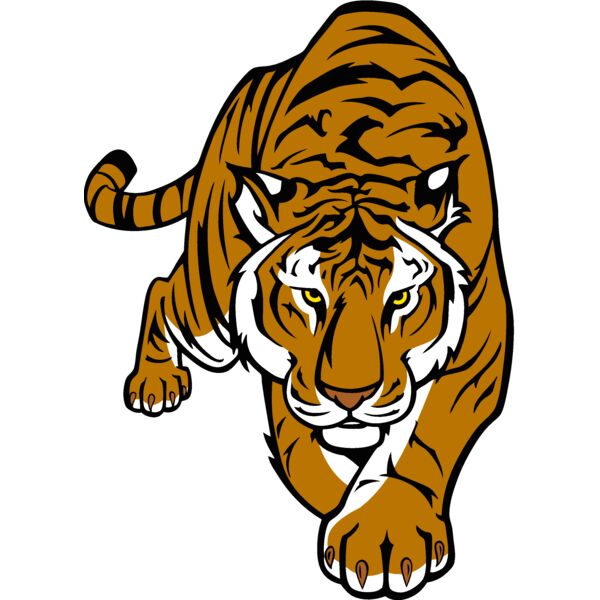 tiger12v4clr Thumbnail