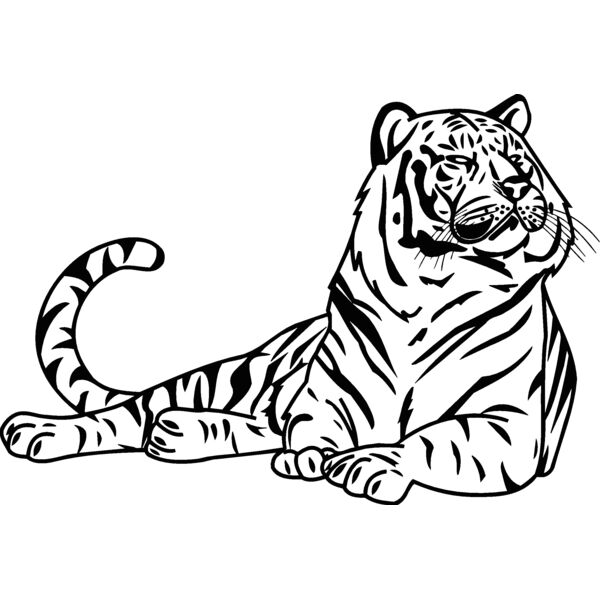 tiger9 Thumbnail