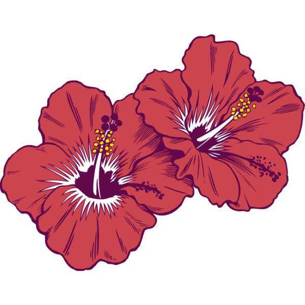 es3tropical02clr Thumbnail