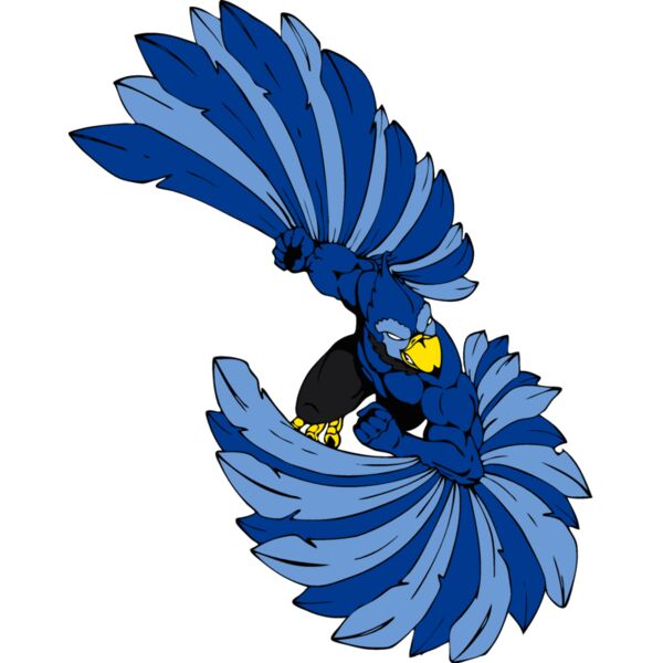 bluejay1 Thumbnail