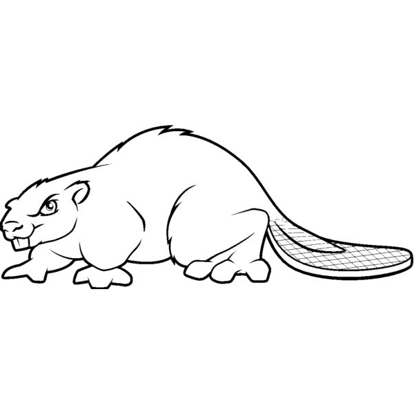 beaver6 Thumbnail