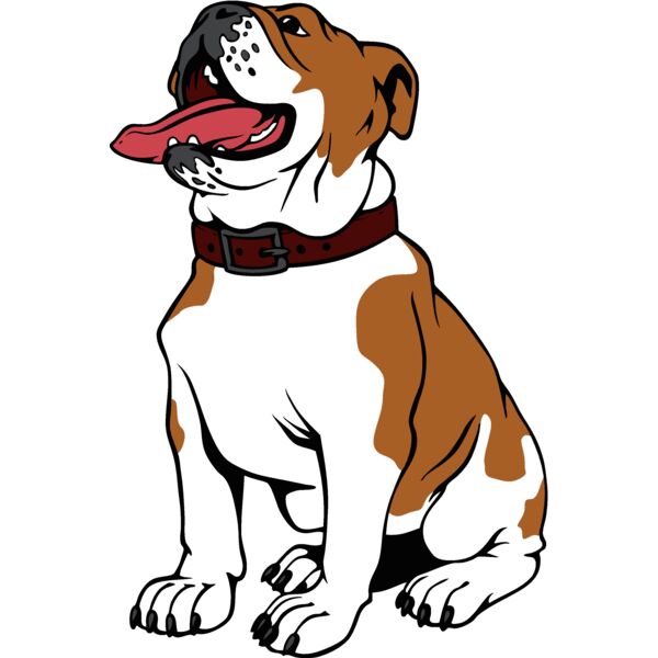 bulldog16v4clr Thumbnail