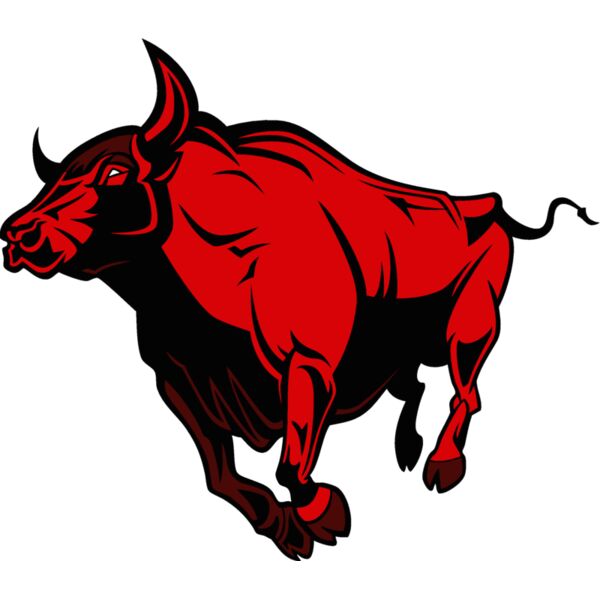 bull04v4clr Thumbnail