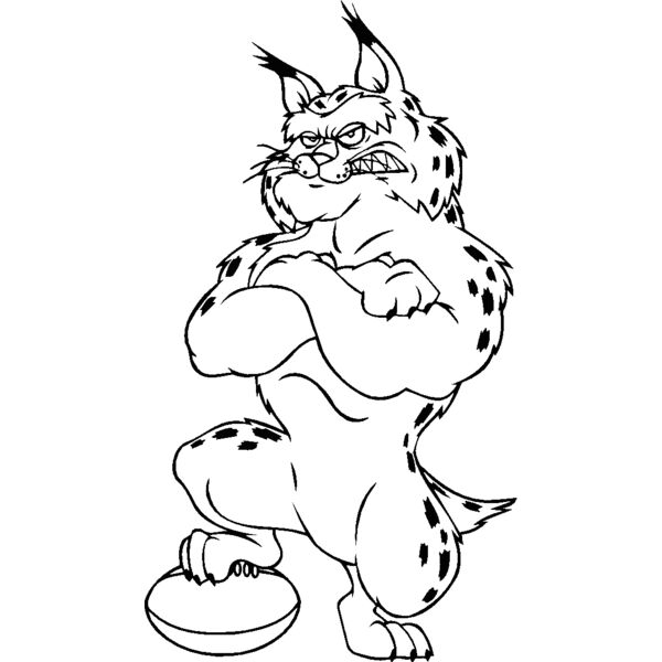 bobcatrgbybns Thumbnail