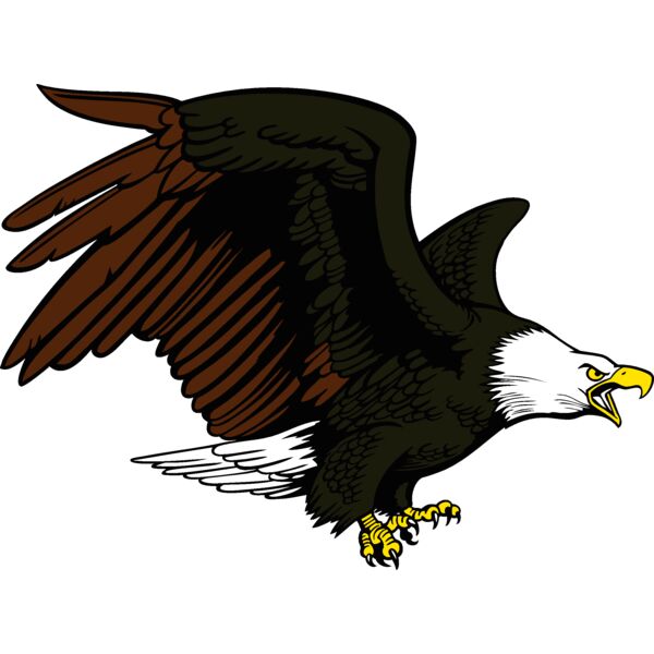 eagle12v4clr Thumbnail