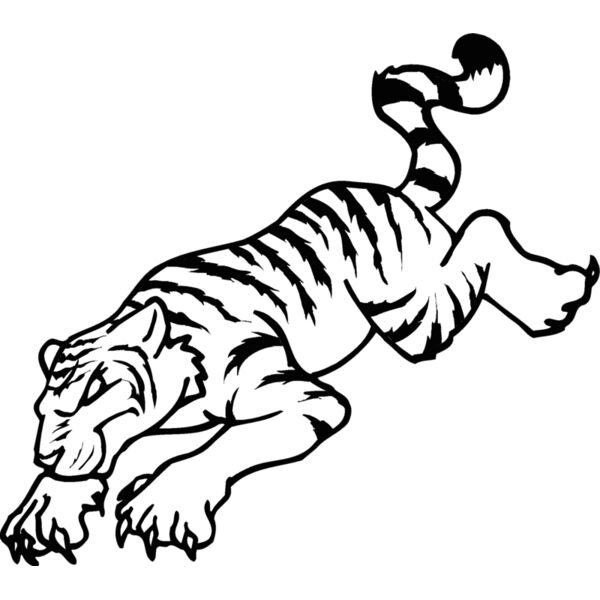 tiger8 Thumbnail