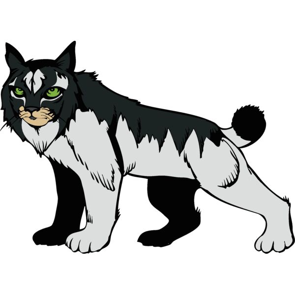 wildcat15v4clr png Thumbnail