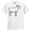 Everyone's Favorite T-Shirt for the Whole Family Thumbnail